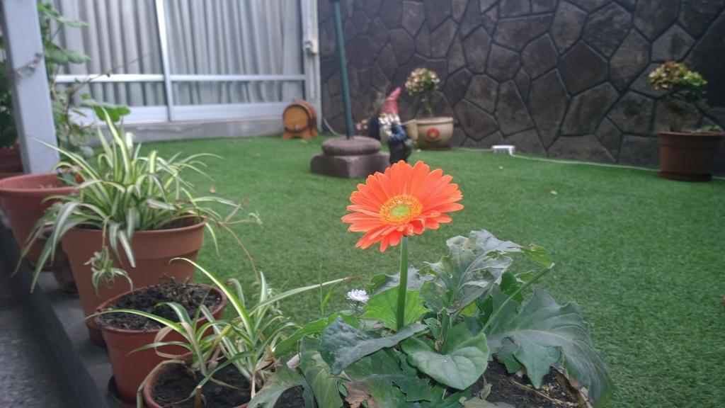 Bed & Breakfast Blumen Haus サンティアゴ エクステリア 写真