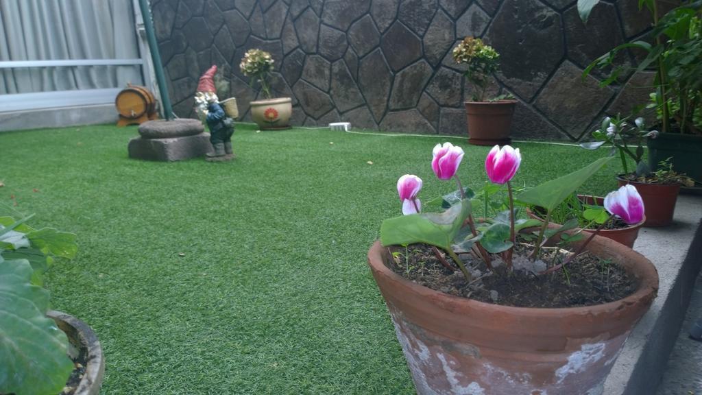 Bed & Breakfast Blumen Haus サンティアゴ エクステリア 写真