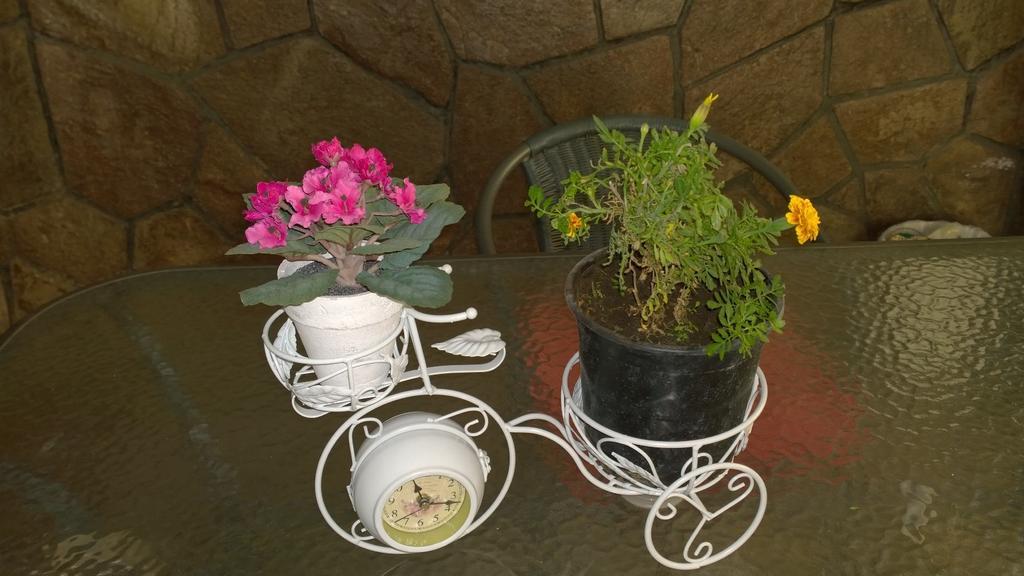 Bed & Breakfast Blumen Haus サンティアゴ エクステリア 写真