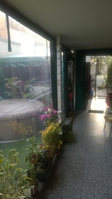 Bed & Breakfast Blumen Haus サンティアゴ エクステリア 写真